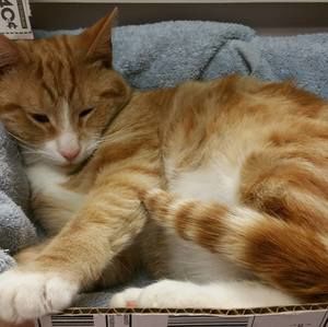 Meet your Posher, Becky